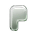 Pons